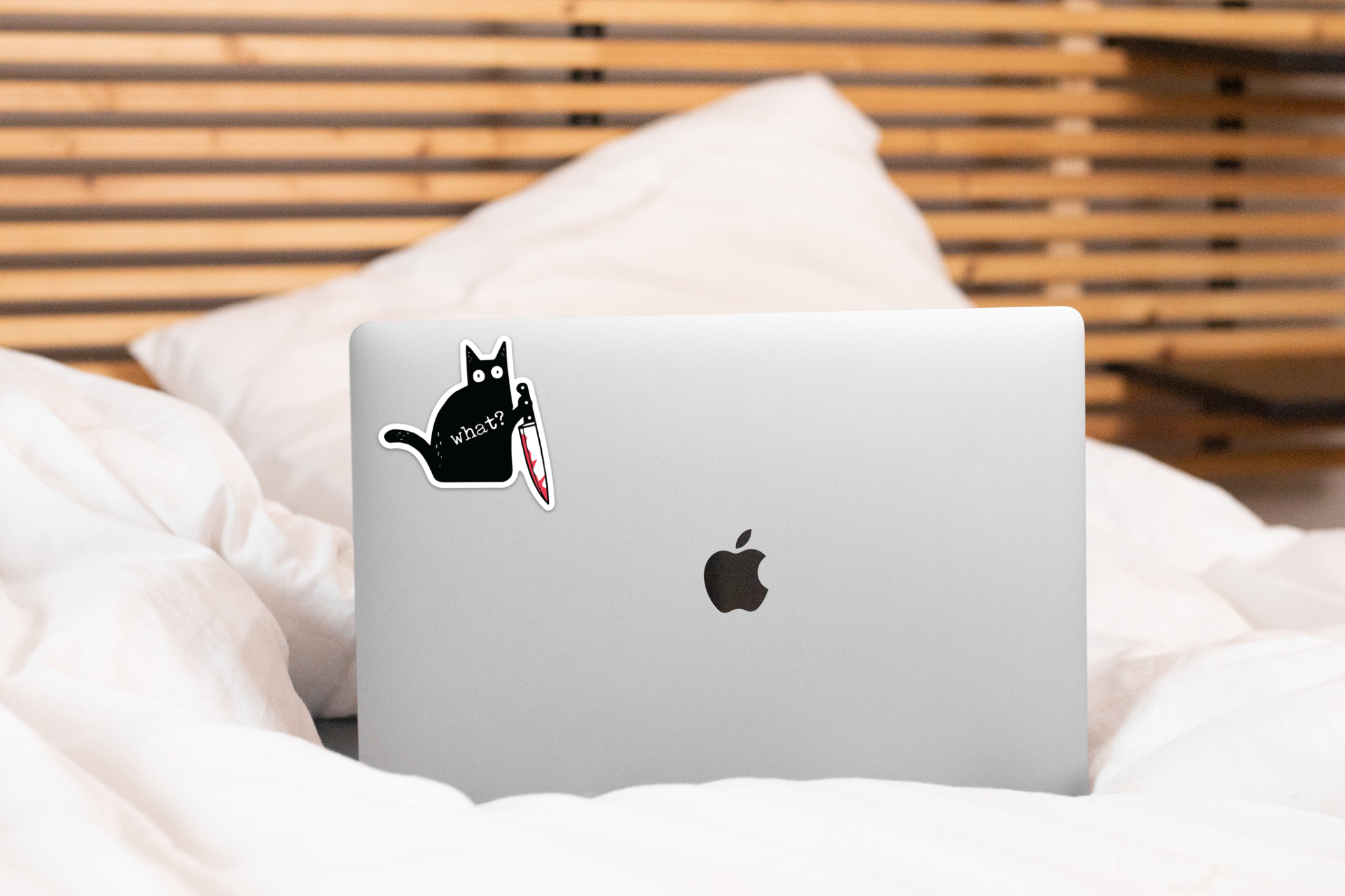Murder Cat Sticker - what? kitten, kitty, animal, adopt